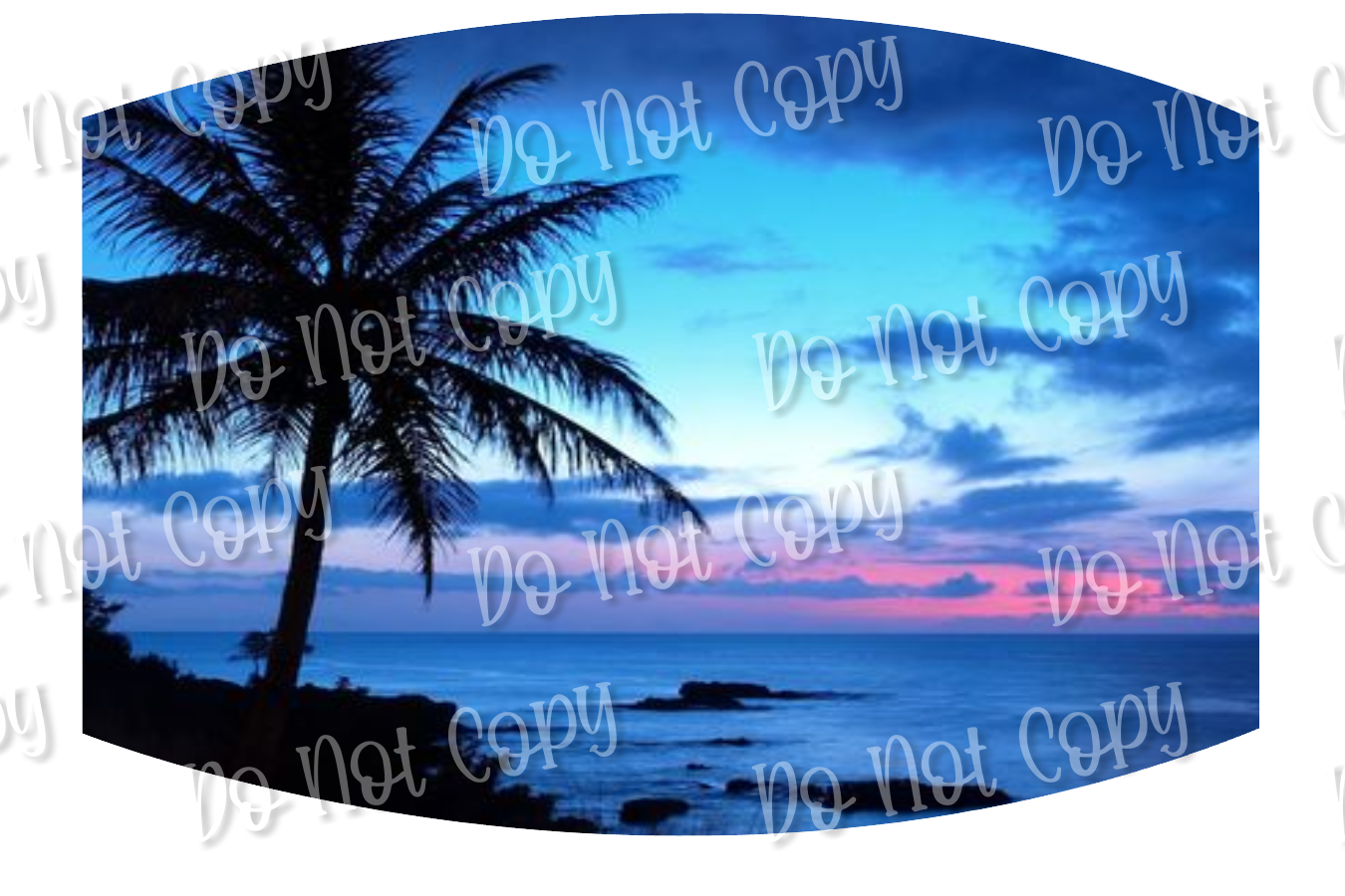 Palm Tree Sunset 91
