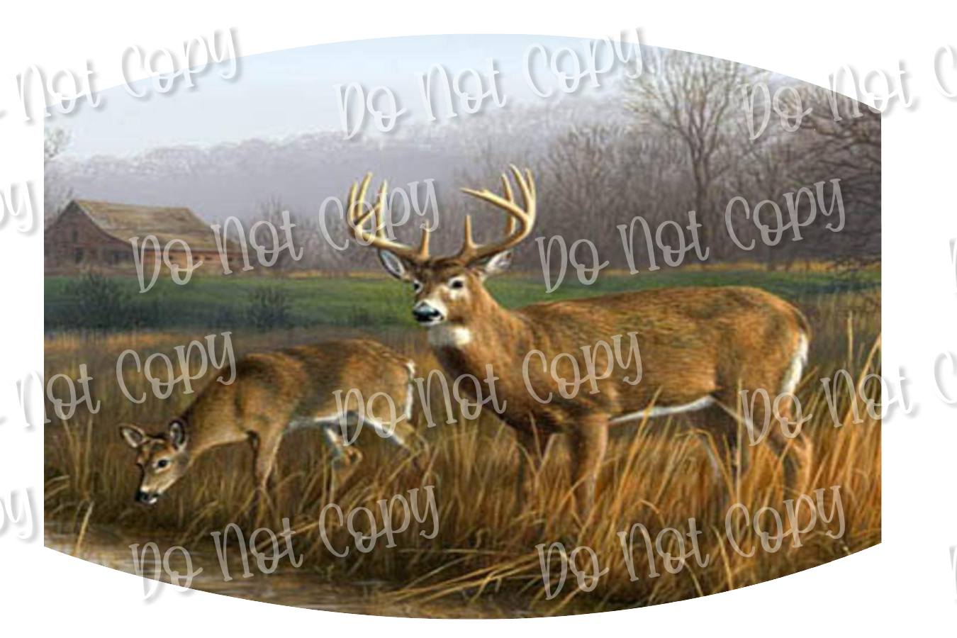 Deer in Field 85