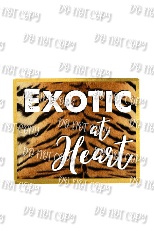 Exotic at Heart 2