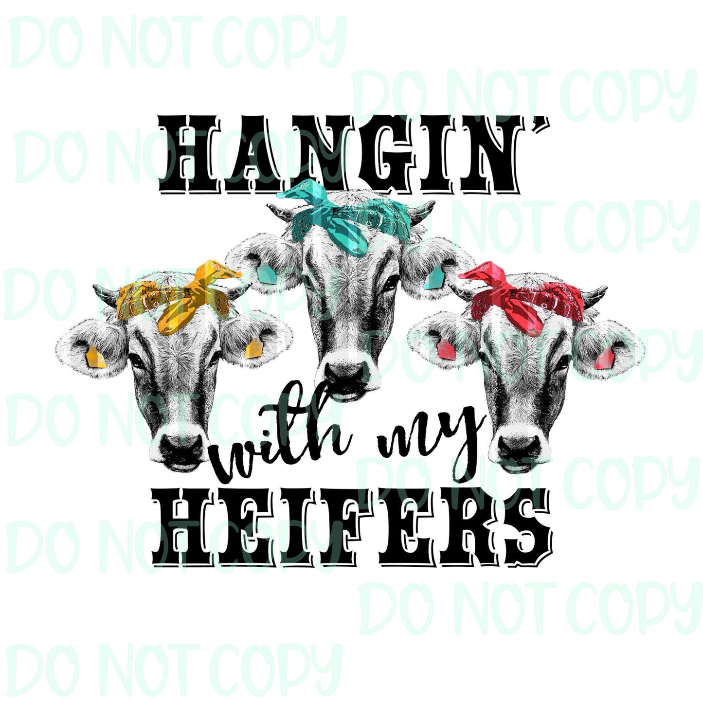 Hangin With My Heifers