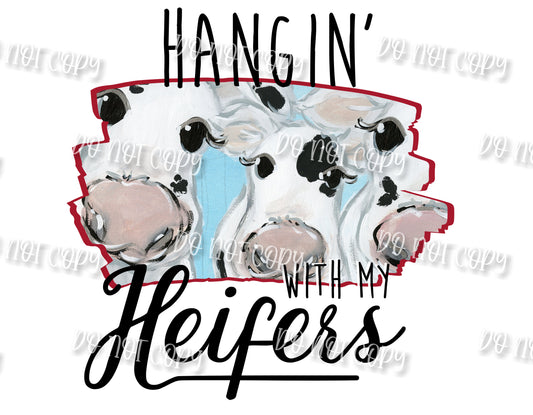 Hangin with my heifers gate