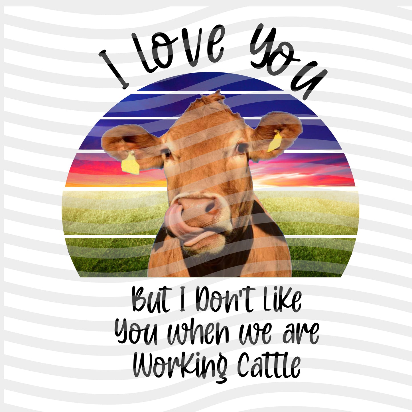 I Love You Cow