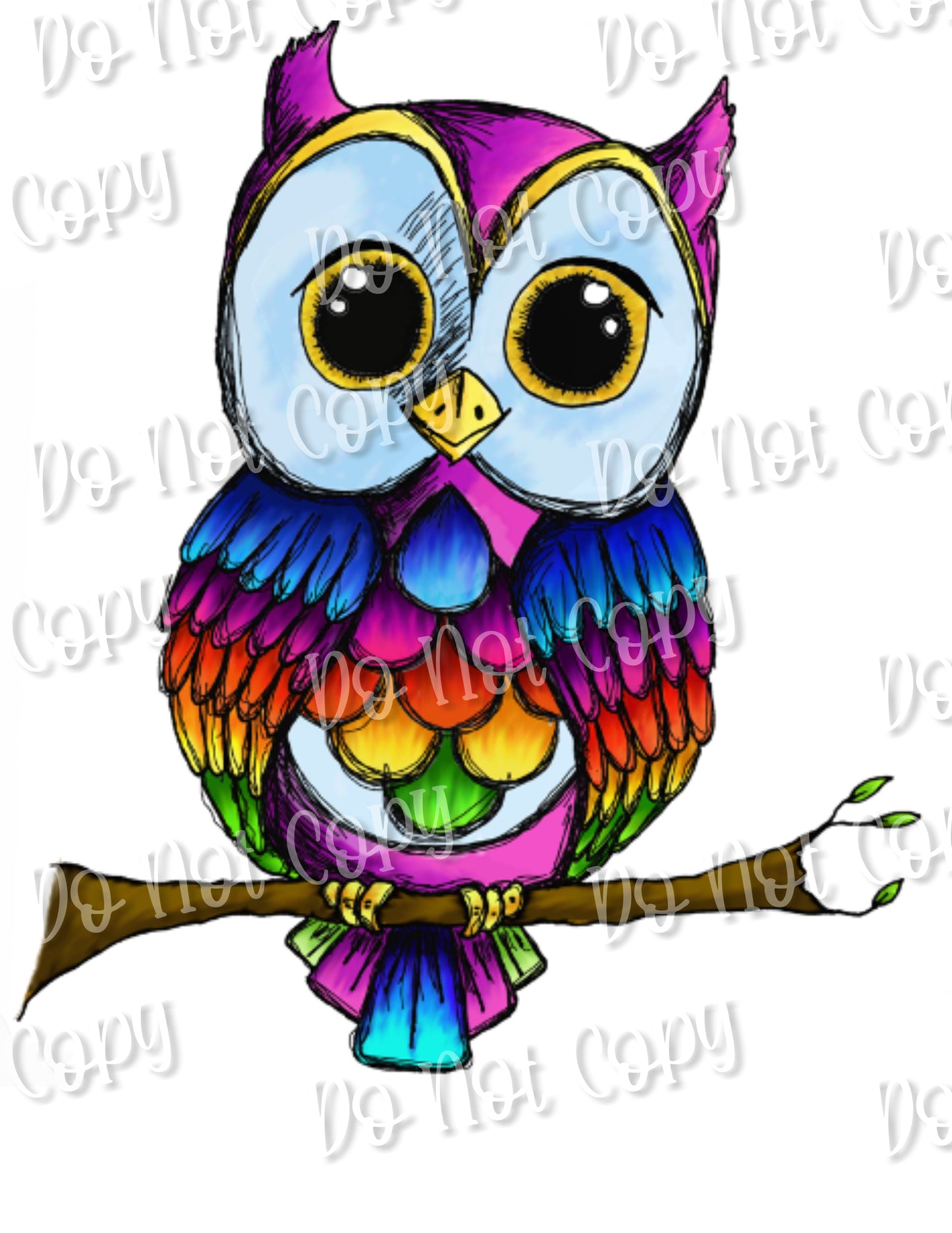 Rainbow Owl