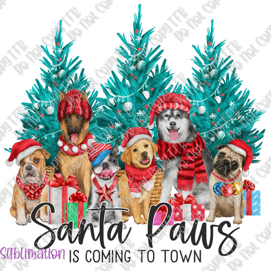 Santa Paws Sublimation