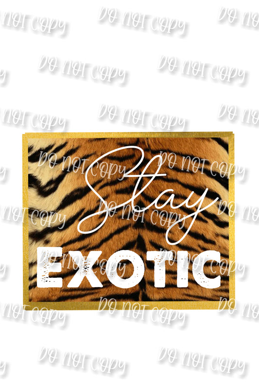 Stay Exotic