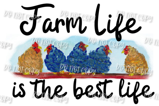 Farm Life-Chickens