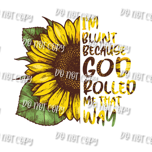 Blunt Sunflower